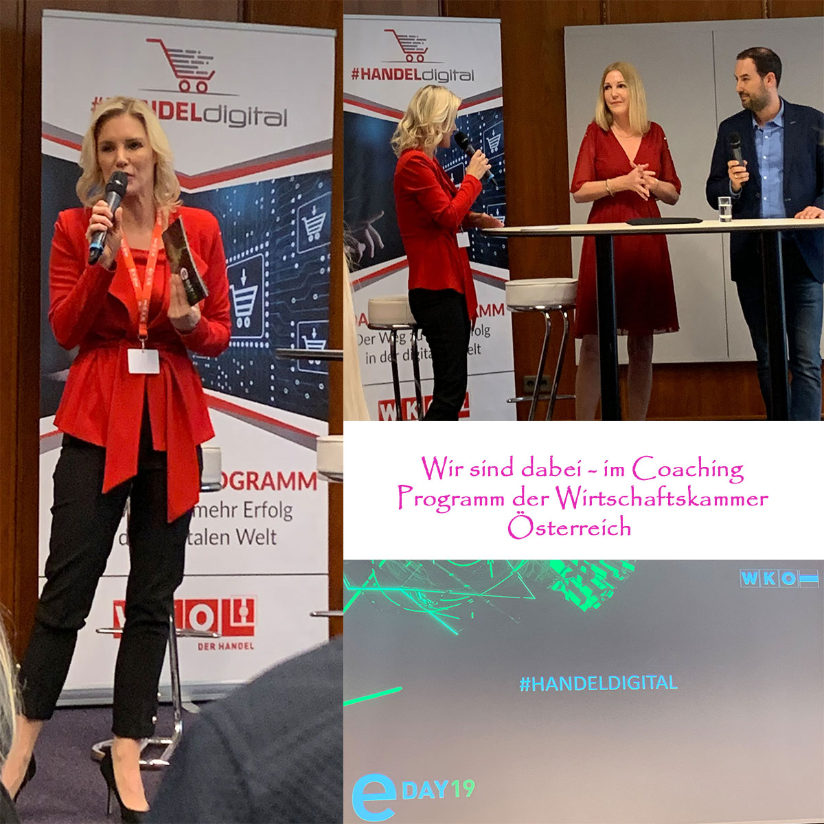 Coaching Programm Der Wko Wir Sind Dabei Dreamfactory